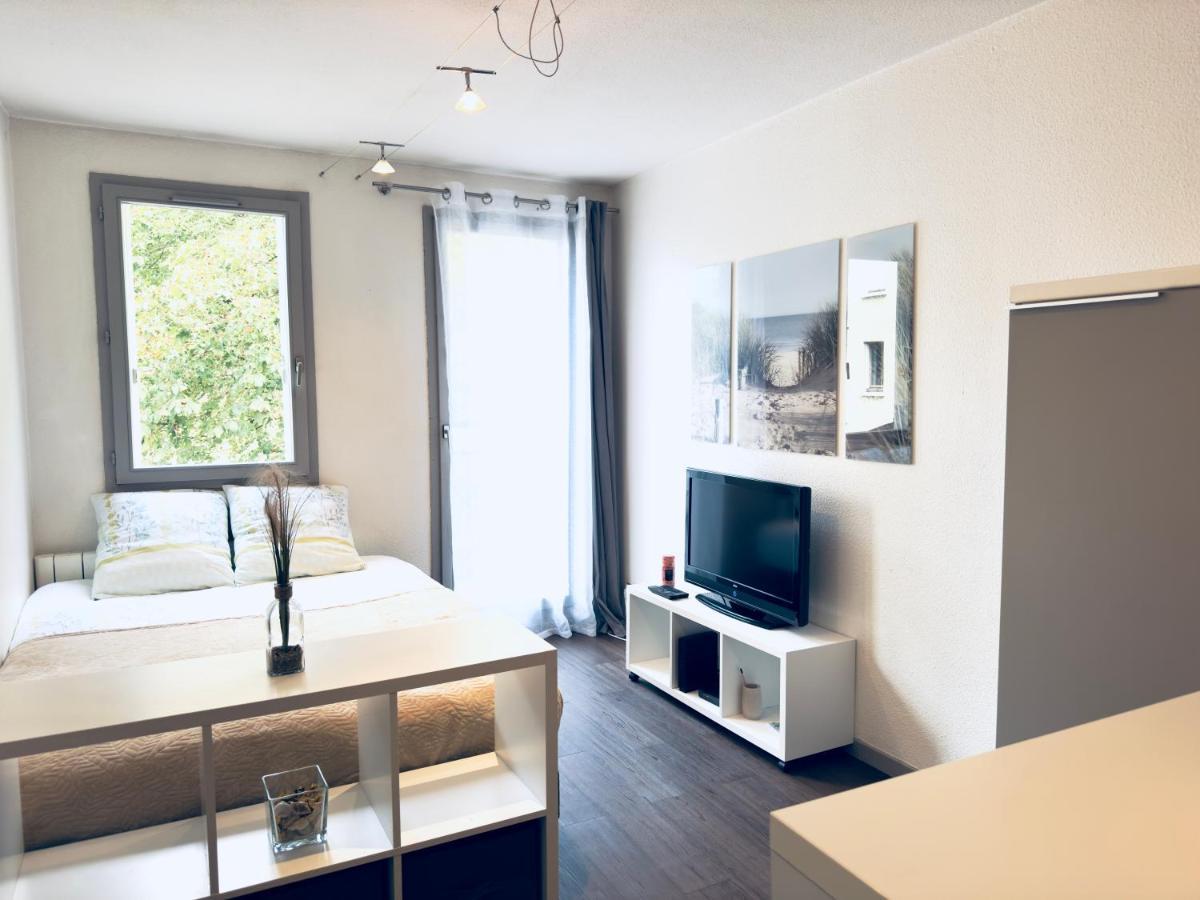 *Le Cityzen*15Min Du Centre A Pied+Parking Gratuit Анси Экстерьер фото